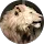 Kad profile picture