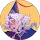 Robin Price profile picture