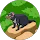 Nikitta Pulford profile picture